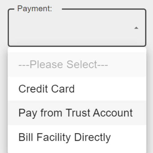 payment dropdown with trust account and an option